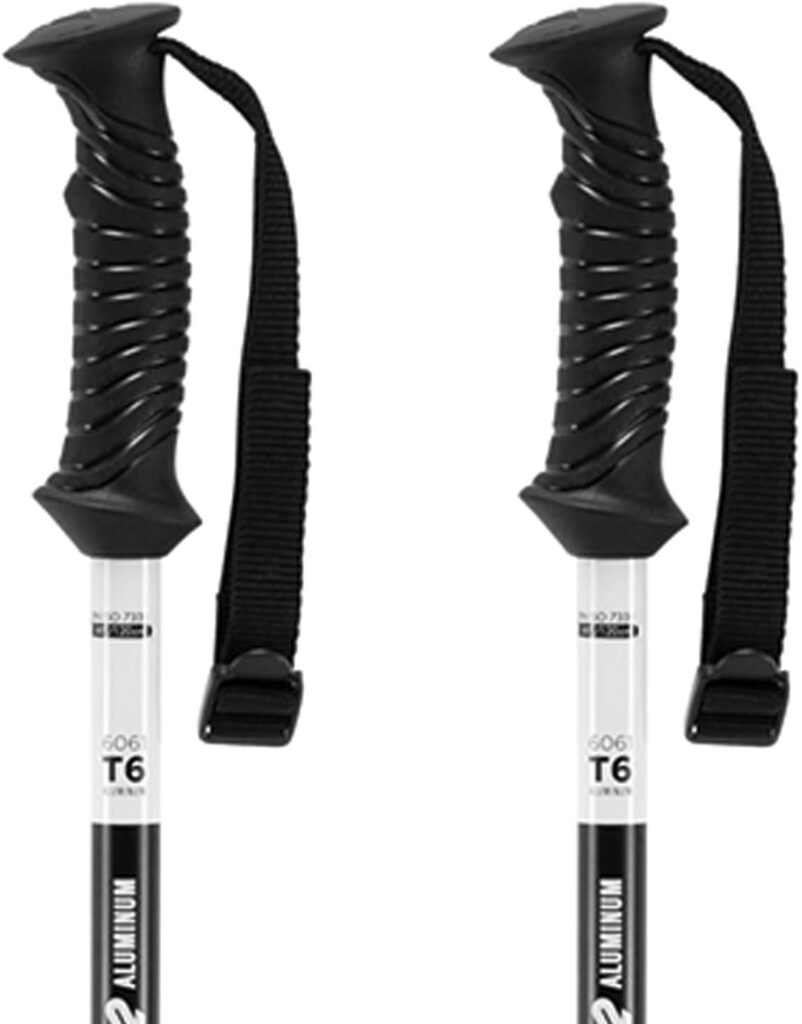 K2 POWER ALUMINUM SKI POLES 2022 Ski Review